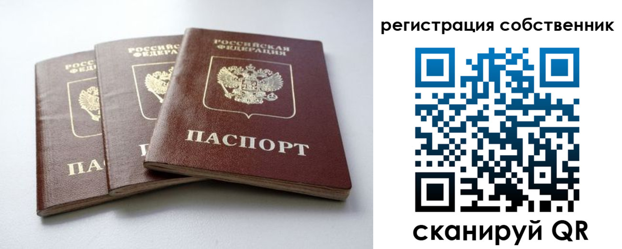 прописка для школы в Полярном